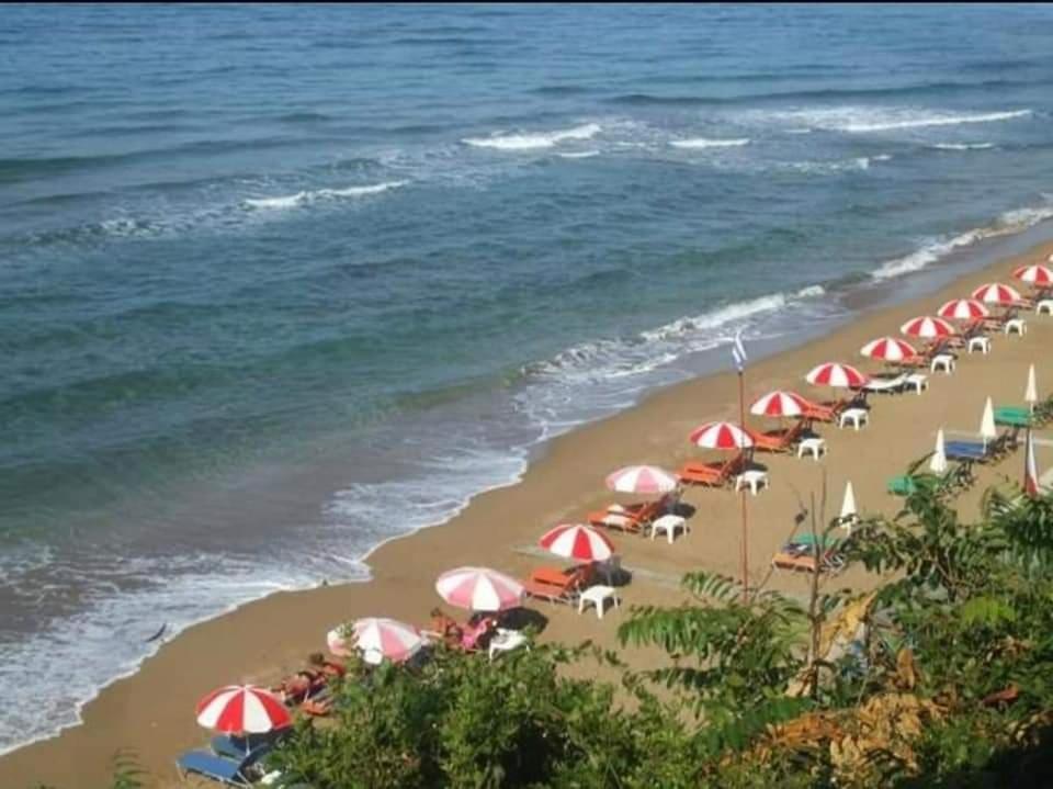 Harmony Corfu Apartments & Studios 외부 사진