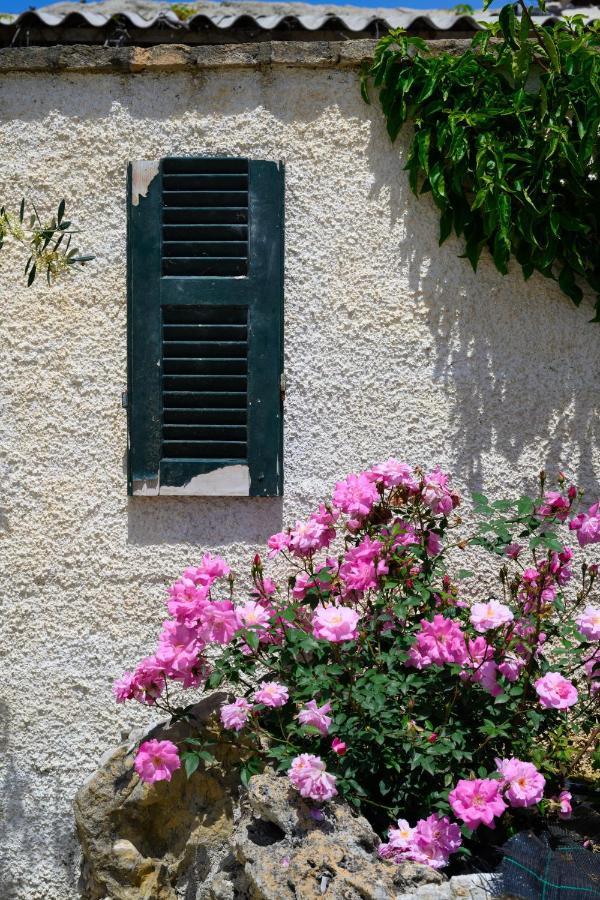 Harmony Corfu Apartments & Studios 외부 사진
