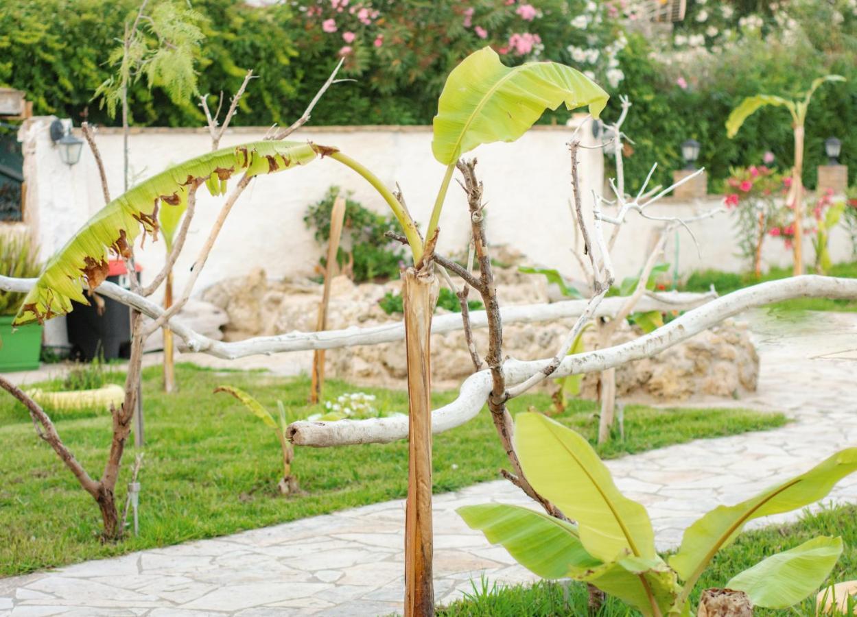 Harmony Corfu Apartments & Studios 외부 사진